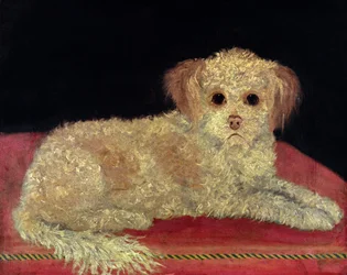 A Terrier on a Red Cushion, Provincial School